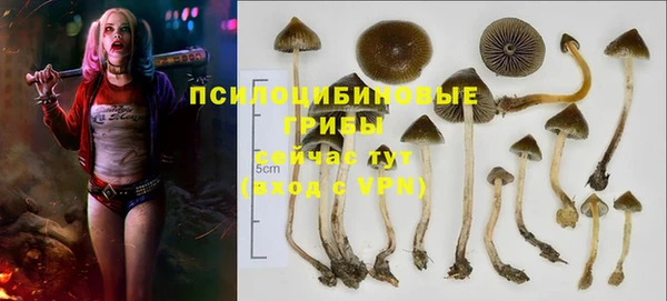 COCAINE Баксан