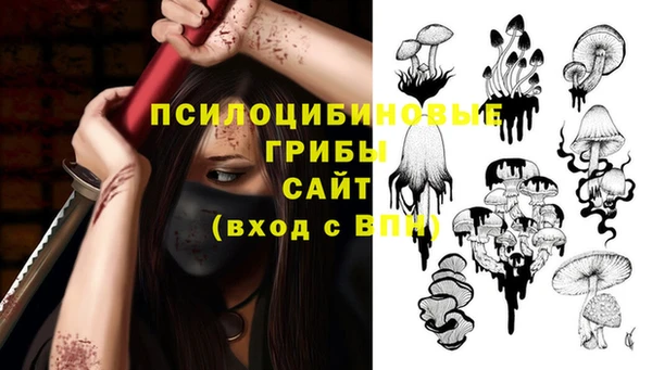 прущие грибы Белокуриха