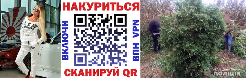 Купить закладки  Карталы  Бошки марихуана конопля 
